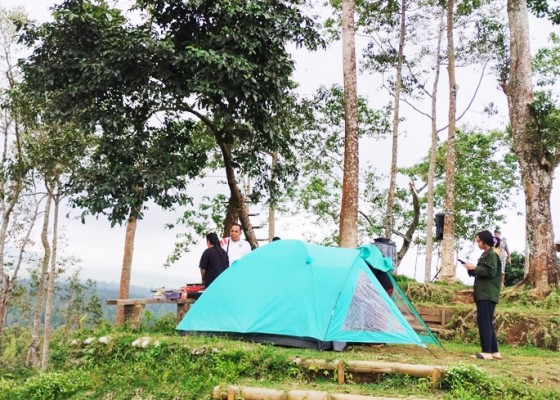 Nusabali.com - kawasan-munduk-ngandang-dikelola-jadi-camping-ground