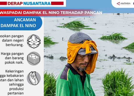 Nusabali.com - mewaspadai-dampak-el-nino-terhadap-pangan