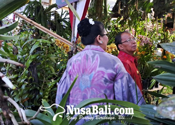 Nusabali.com - dpp-pai-dorong-produksi-anggrek-bali-masuk-lebih-banyak-ke-hotel-dan-restoran