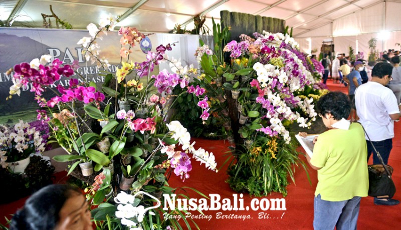 www.nusabali.com-anggrek-di-bali-dari-hobi-ke-industri