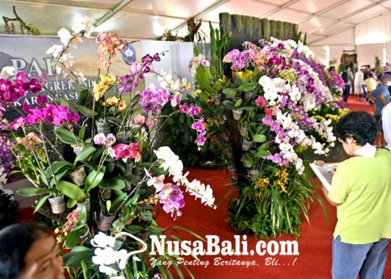 Nusabali.com - anggrek-di-bali-dari-hobi-ke-industri