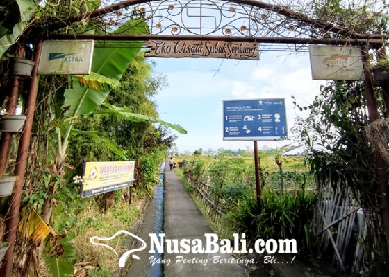Nusabali.com - subak-sembung-dinilai-gagal-jadi-agro-wisata