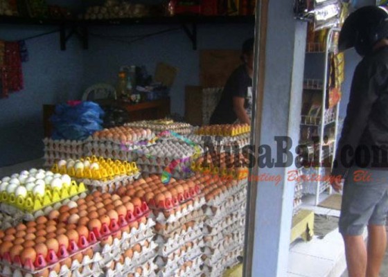 Nusabali.com - telur-merangkak-naik-tembus-rp-36000-per-krat