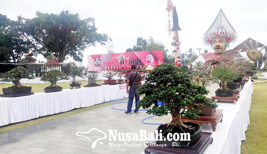 www.nusabali.com-ppbi-bangli-gelar-pameran-bonsai