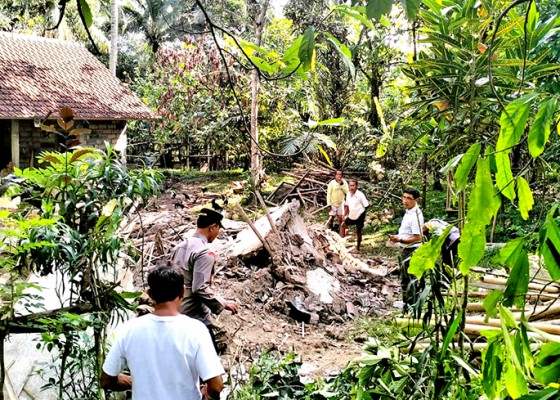 Nusabali.com - pindah-tidur-lansia-selamat-dari-pohon-tumbang