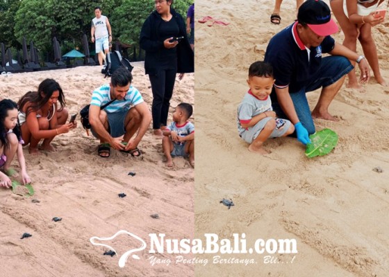 Nusabali.com - kelompok-nelayan-inginkan-tempat-penangkaran-di-pantai-bengiat