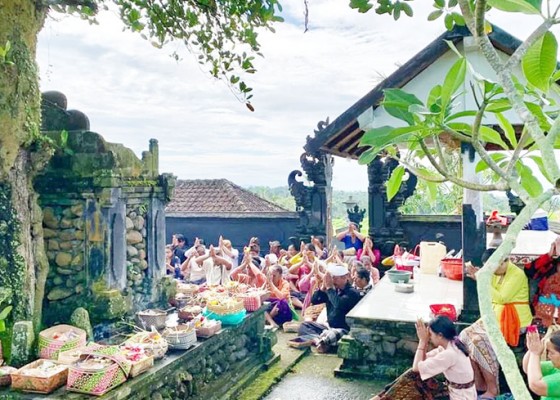 Nusabali.com - tradisi-nyepi-di-subak-jatiluwih-tabanan-petani-dan-wisatawan-dilarang-beraktivitas-di-persawahan