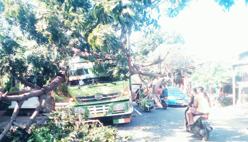 www.nusabali.com-salip-rombongan-ngaben-truk-tertimpa-pohon