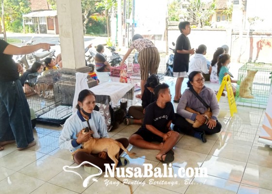 Nusabali.com - puluhan-anjing-di-nyanglan-disteril