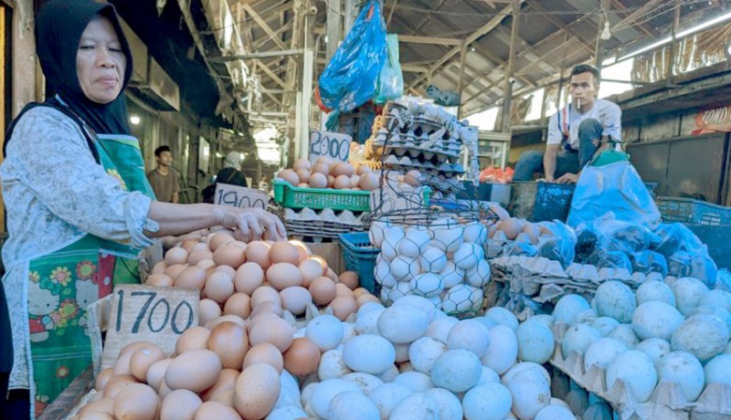 www.nusabali.com-harga-telur-naik-jadi-rp-32000kg