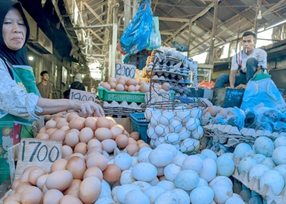 Nusabali.com - harga-telur-naik-jadi-rp-32000kg