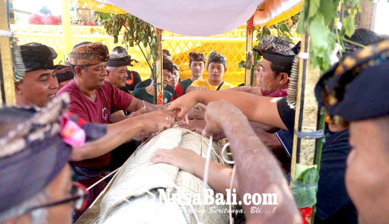 www.nusabali.com-upacara-munggah-sale-pinda-layon-putra-raja-karangasem