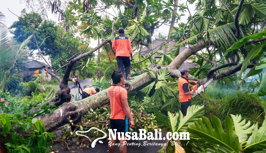 www.nusabali.com-hujan-turun-nonstop-bencana-mengepung