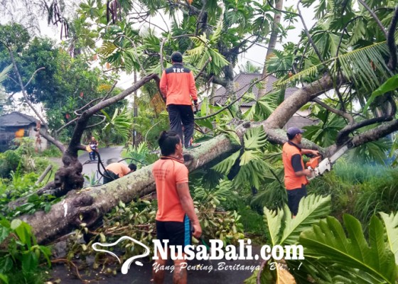Nusabali.com - hujan-turun-nonstop-bencana-mengepung