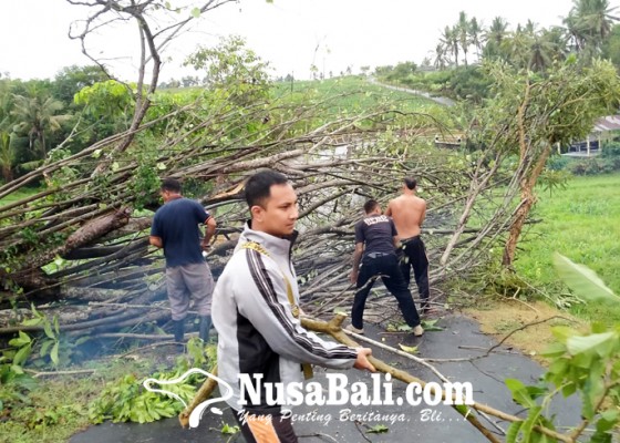 Nusabali.com - cuaca-ekstrem-bpbd-imbau-warga-siapkan-alat-darurat