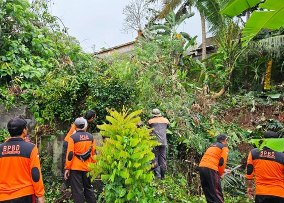 Nusabali.com - palinggih-dan-panyengker-tertimpa-pohon-tumbang