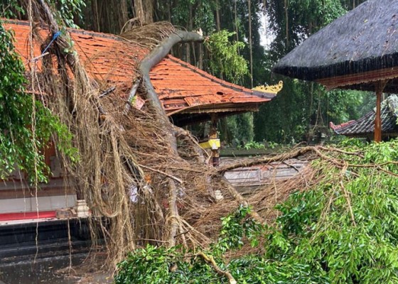 Nusabali.com - badung-dikepung-bencana
