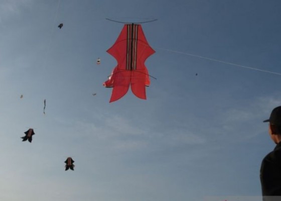 Nusabali.com - bali-kite-international-festival-pertemukan-rare-angon-lintas-negara