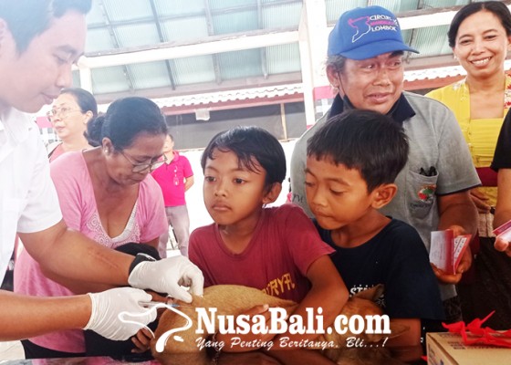 Nusabali.com - tabanan-terima-3000-dosis-vaksin-rabies