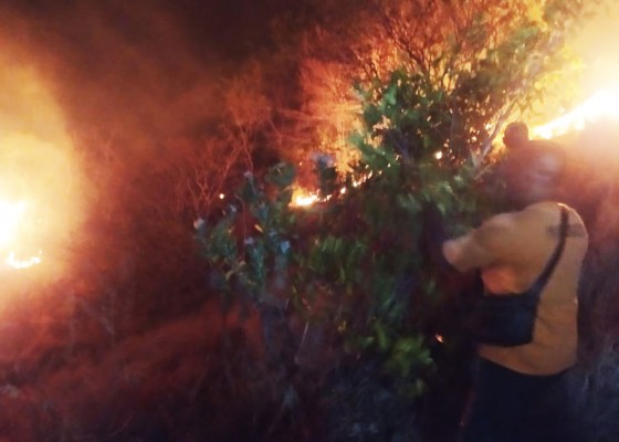 Nusabali.com - kawasan-hutan-bukit-batu-kursi-terbakar-seluas-25-hektare-pemadaman-selama-6-jam-lebih