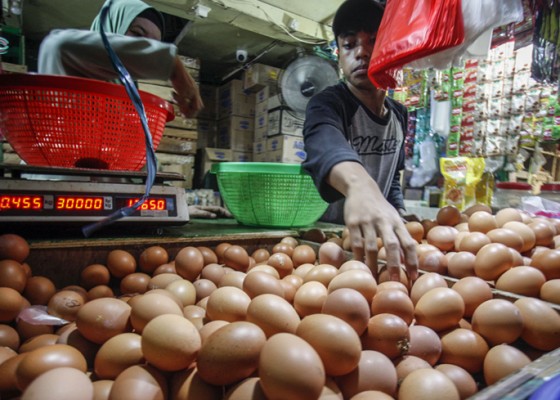 Nusabali.com - harga-telur-masih-mahal