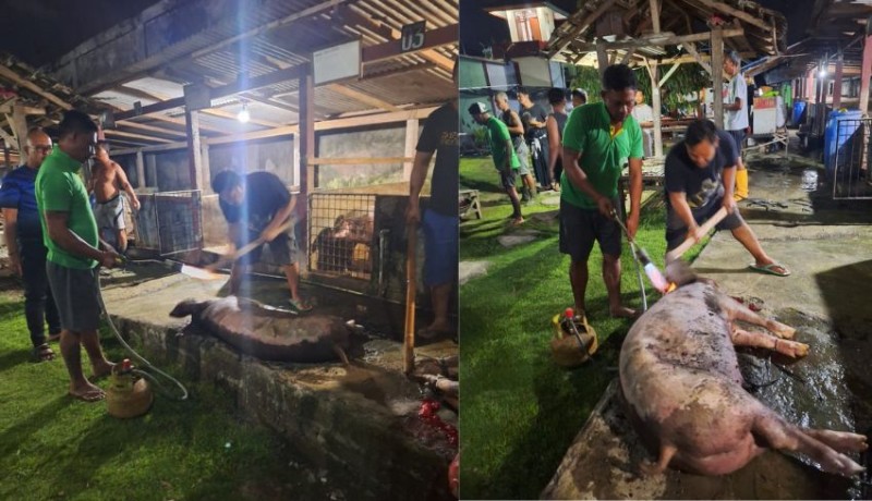 www.nusabali.com-rutan-negara-lakukan-tradisi-mepatung-wbp-pokja-kebagian-3-kilogram-daging-babi