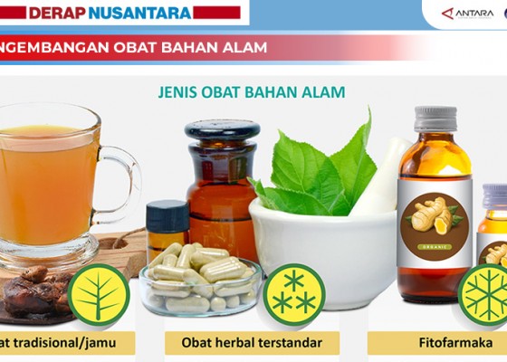 Nusabali.com - pengembangan-obat-bahan-alam