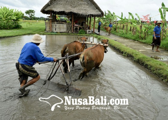 Nusabali.com - pemkot-kembangkan-kesiman-kertalangu-dan-serangan-jadi-potensi-wisata-baru