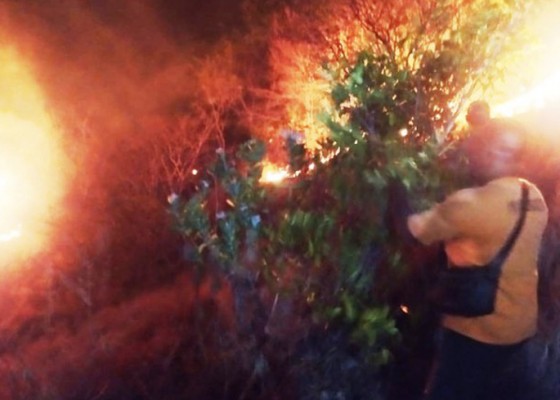 Nusabali.com - bpbd-ingatkan-potensi-kebakaran-hutan
