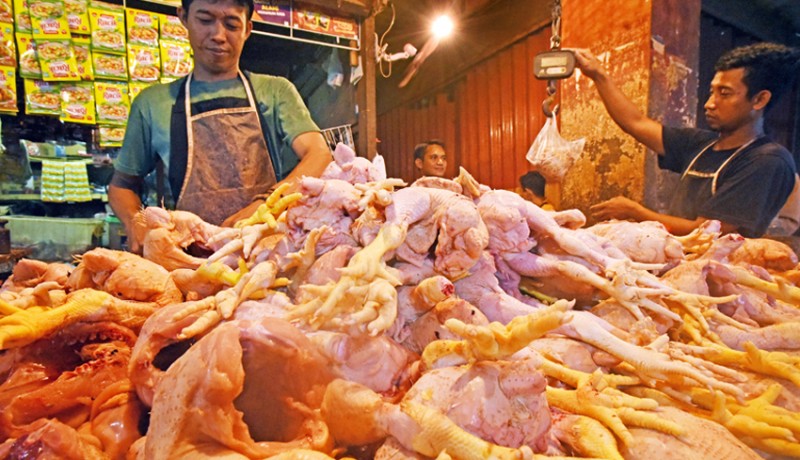 www.nusabali.com-harga-daging-ayam-naik