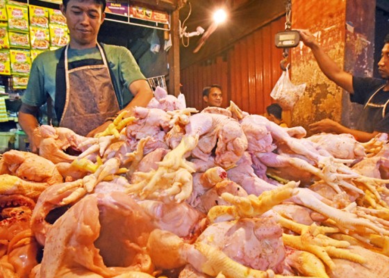 Nusabali.com - harga-daging-ayam-naik