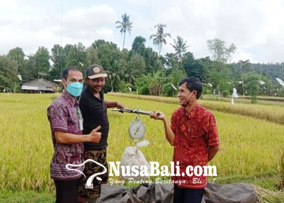 Nusabali.com - petani-dipinjami-pompa-air