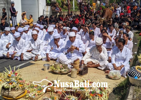 Nusabali.com - ritual-setahun-sekali-untuk-menjaga-wewidangan-secara-niskala