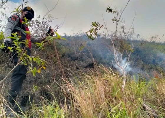 Nusabali.com - bukit-teletubis-terbakar-seluas-2-hektar