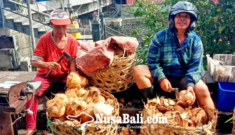 www.nusabali.com-menguliti-batok-batok-kelapa