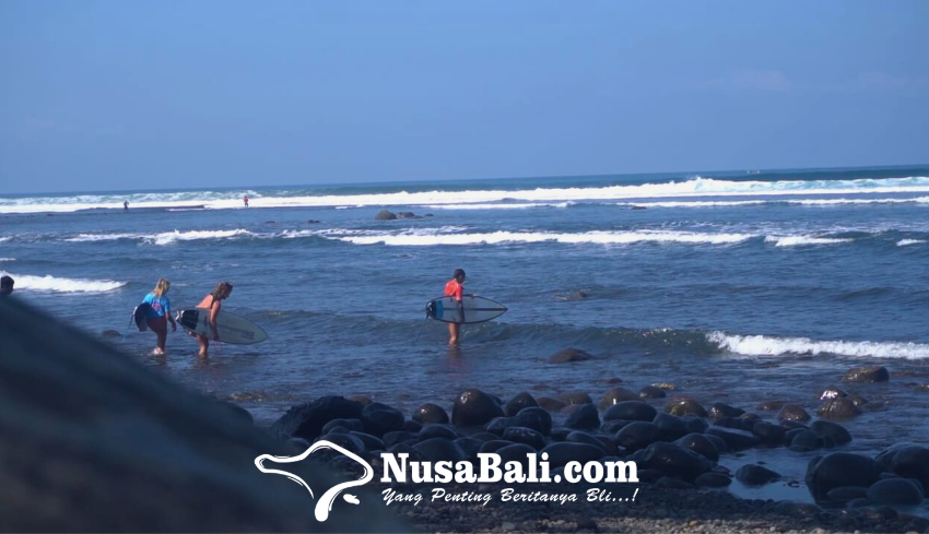 www.nusabali.com-peselancar-dalam-dan-luar-negeri-tantang-ombak-panjang-pantai-medewi