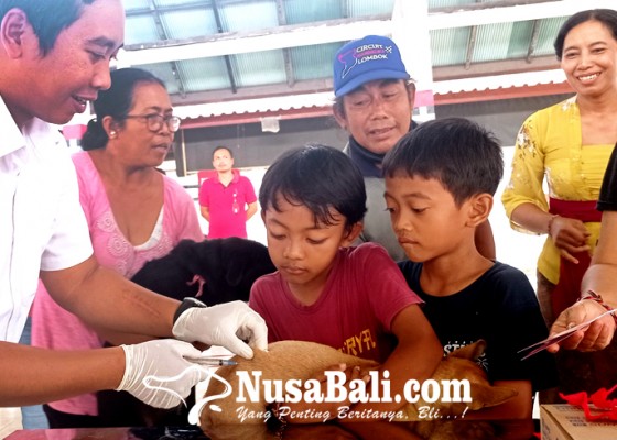 Nusabali.com - target-vaksinasi-rabies-80-persen-di-tabanan-terancam-molor