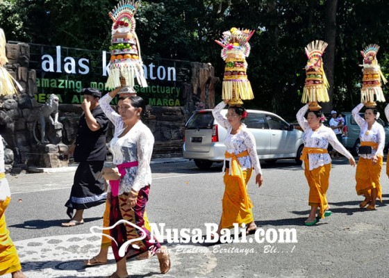 Nusabali.com - tradisi-mapeed-saat-pujawali-di-pura-dalem-kahyangan-kedaton-jadi-daya-tarik-wisata
