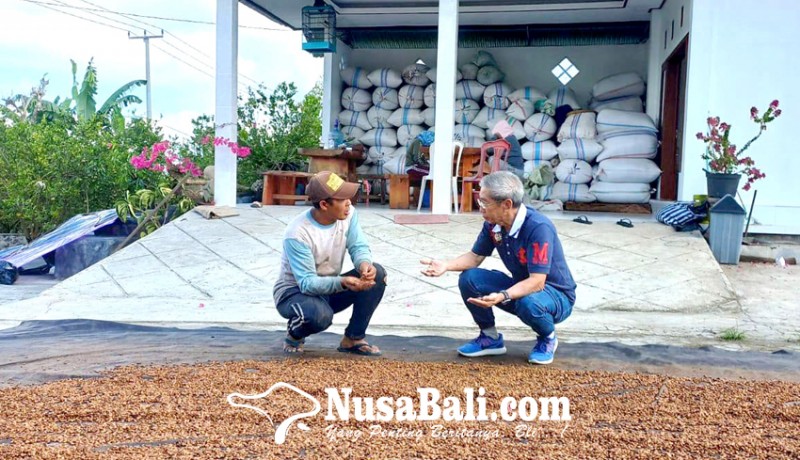 www.nusabali.com-petani-kopi-harapkan-bantuan-alat-olah-kopi