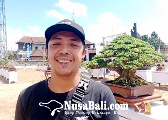 Nusabali.com - penghobi-pamerkan-bonsai-di-eks-pasar-blahbatuh
