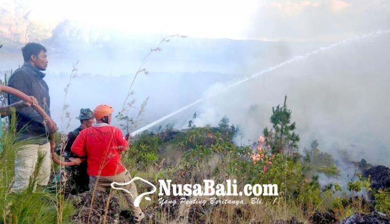 www.nusabali.com-hutan-twa-gunung-batur-terbakar