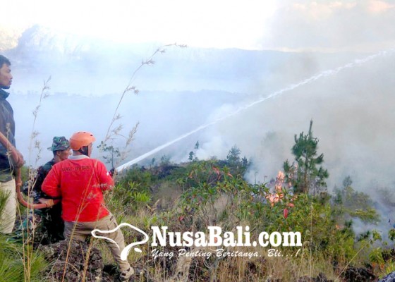 Nusabali.com - hutan-twa-gunung-batur-terbakar