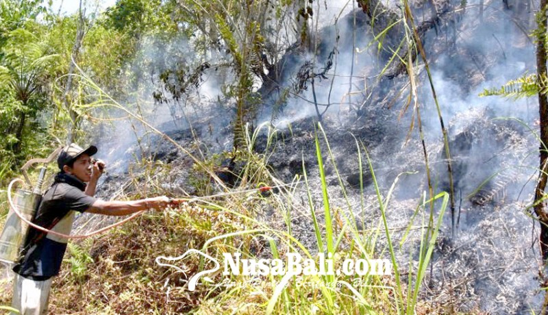 www.nusabali.com-bbmkg-peringatkan-waspada-kebakaran-hutan-di-bali