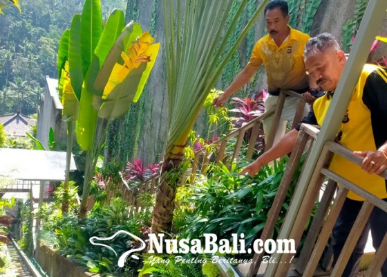 Nusabali.com - penginapan-dekat-tebing-wajib-ada-jalur-evakuasi