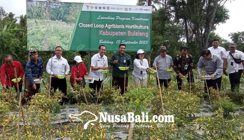 www.nusabali.com-buleleng-jadi-percontohan-program-agribisnis-hortikultura