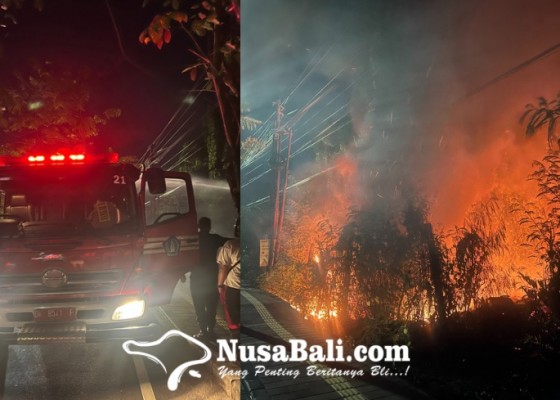 Nusabali.com - kebakaran-landa-lahan-kosong-dekat-perumahan-di-jimbaran