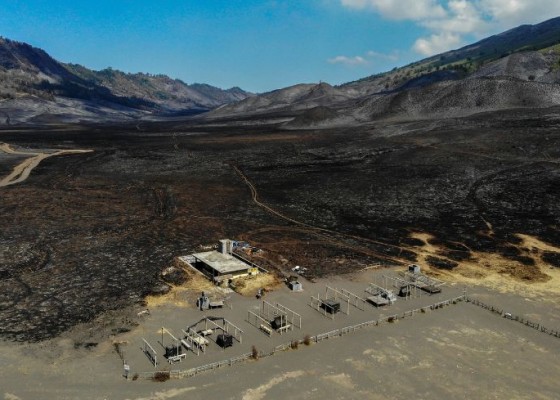 Nusabali.com - bromo-national-park-fires-damage-504-hectares-of-land