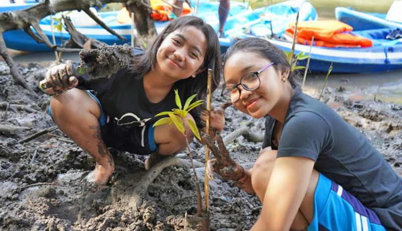 www.nusabali.com-pelajar-bali-dan-jakarta-kolaborasi-tanam-mangrove
