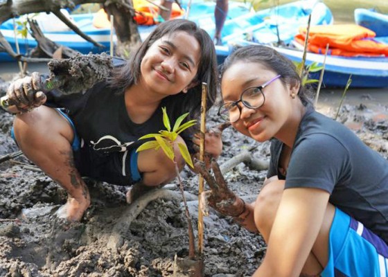 Nusabali.com - pelajar-bali-dan-jakarta-kolaborasi-tanam-mangrove