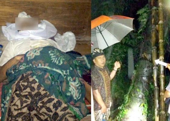 Nusabali.com - petani-tewas-terjatuh-dari-pohon-enau